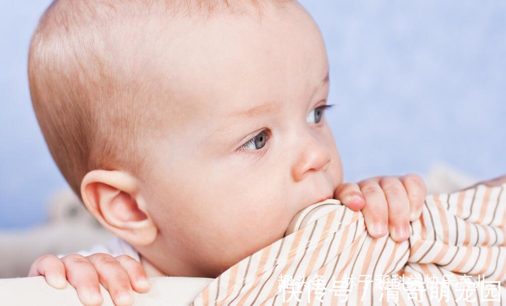 睾丸|新生儿出现这些生理现象时,7个是正常的,4个需要去就医