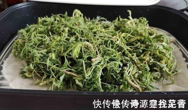 野菜|日本人每天必吃的“长寿菜”,我国产量大但没人吃,含钙比牛奶高!