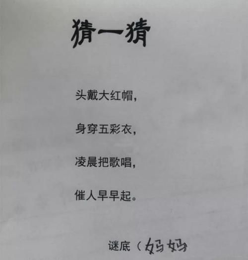 满分|小学生作文火了，全篇只有9个字，老师却给了100分，网友太有才了