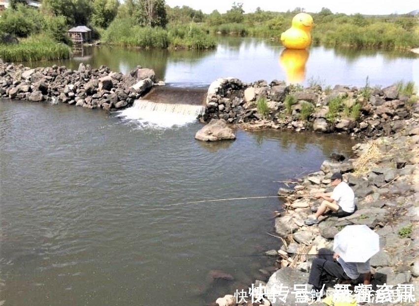 夏季野钓，突然无鱼口，不是钓技不好，原来是这几种因素