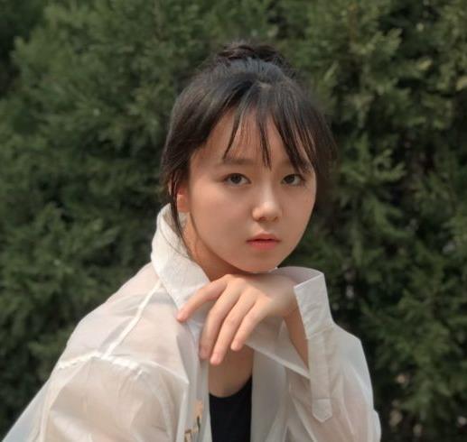 宝钗黛|《红楼梦》集体崩塌的骨子和面值宝钗黛玉没有明星脸