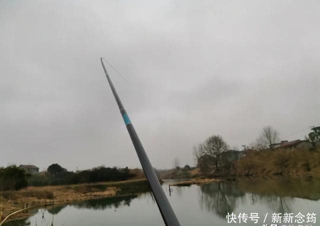 玉米|用了十年的窝料配方!老钓友无私分享,看一眼就能学会