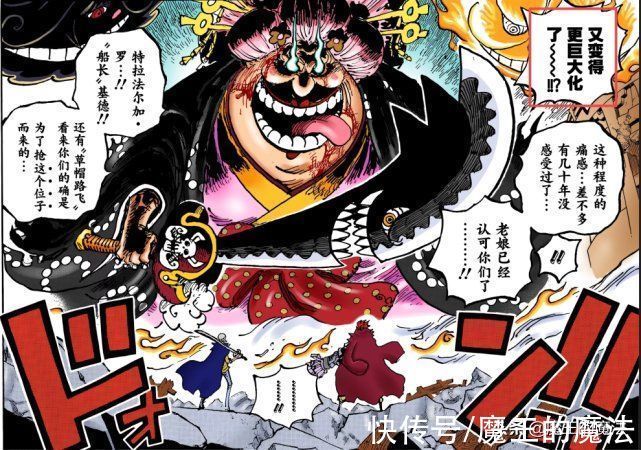 四皇|海贼王1031话分析:索隆占C位有含义,基德与罗威胁四皇体系