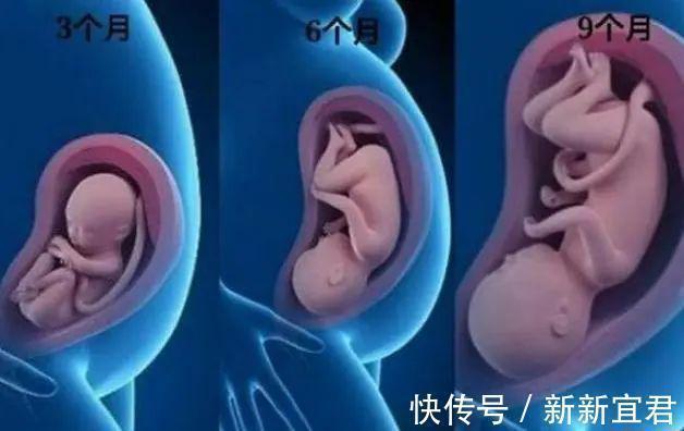 准妈妈|3个月,6个月,9个月,孕期这三个阶段有什么不同