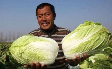 提高免疫力|夏天不妨多吃3种食物，养胃护肝，排毒养颜，还能提高免疫力