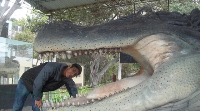 防御力#神话中的载人巨龟被发现,长5米重6吨,《西游记》没有骗人