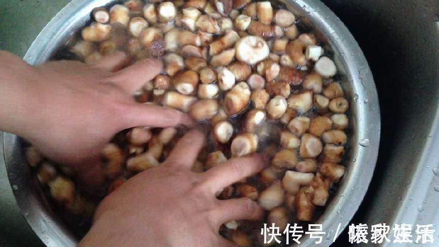 香菇根|好多人买来扔掉，超市里2块钱一大堆，简单炒一炒，营养又美味！