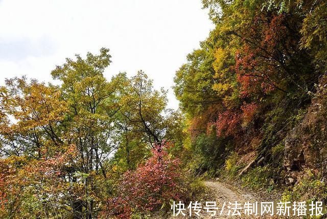 万山红遍|汉中略阳的秋天