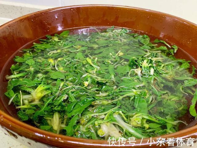 吃肉|3月,宁可不吃肉也要吃这菜,维A是苹果10倍,包饺子太香了