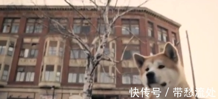 up主|隐秘的电商生意：我花35块网购，收到一具尸体