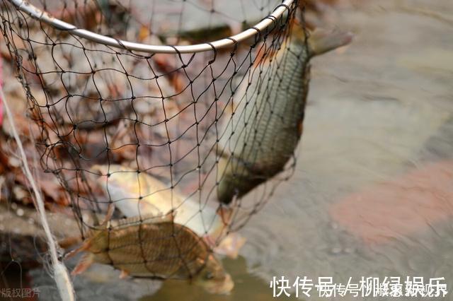 吃鱼越多越好，这4种鱼趁早撤离饭桌，便宜也别买，鱼贩也很少吃