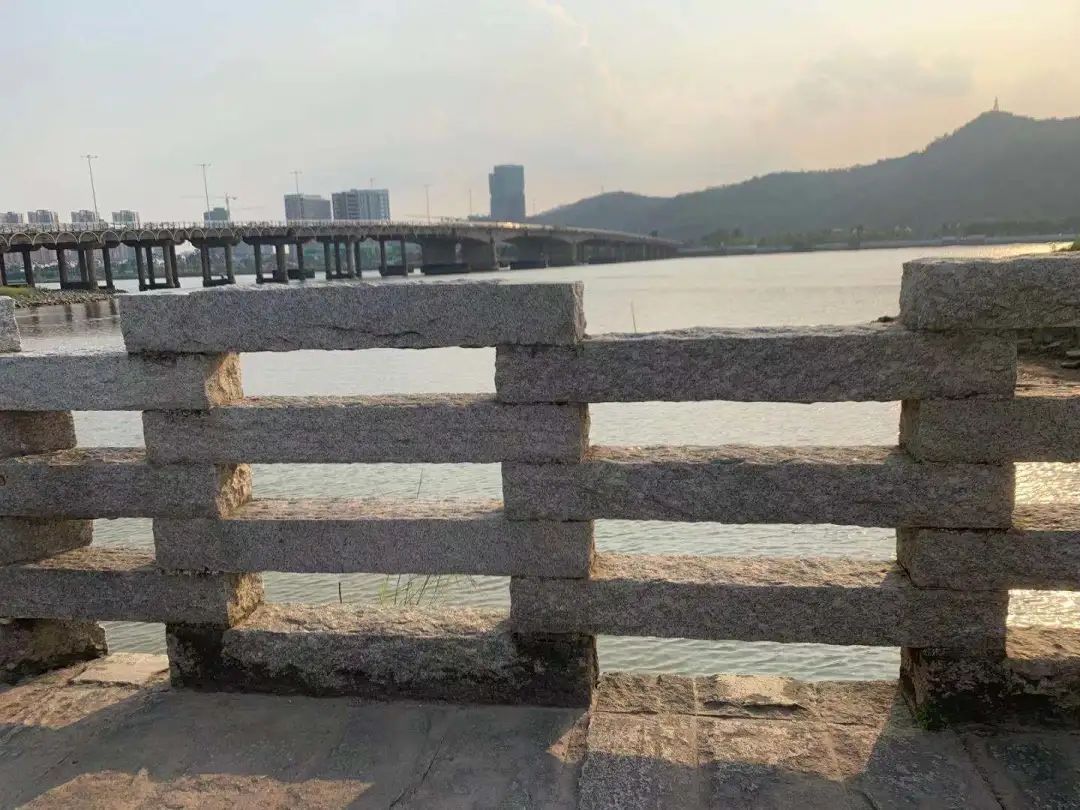 滂沱雨夜 男子跳黃楊河輕生 危急時刻他縱身一躍 中國熱點