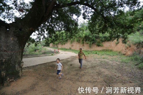 放暑假|孙子放暑假回农村避暑，6旬奶奶乐开了花，看奶奶陪孙子都玩些啥