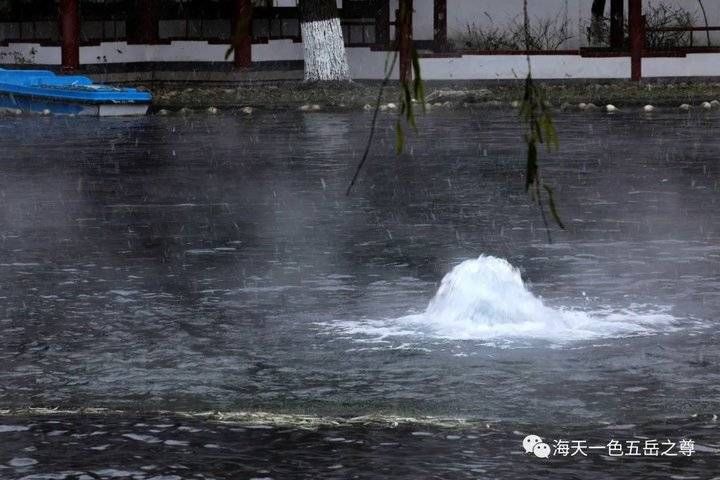 百脉泉|雪泉共舞，百脉氤氲：泉城第一场雪，百脉泉飞花穿庭，盛雪芳华