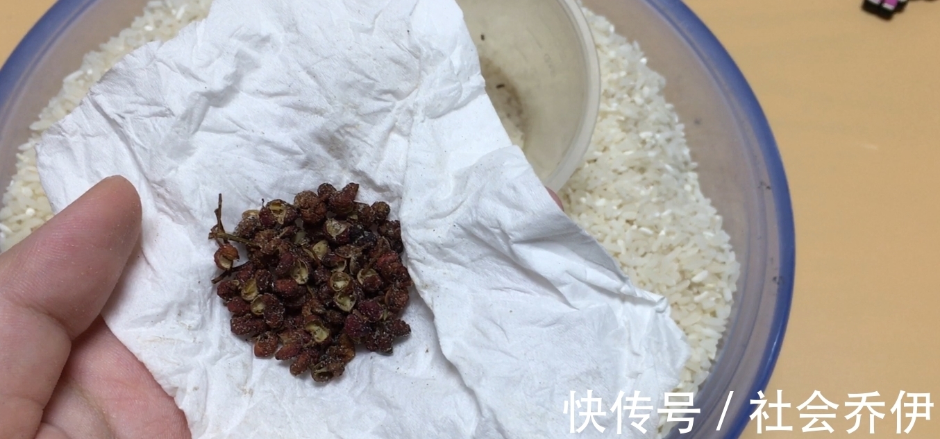 储存|大米怎么储存不容易生虫呢?农村老人告诉你做法