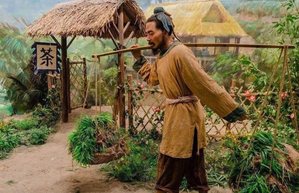 文化|当“贵族文化”脱离“平民文化”,结局将很惨