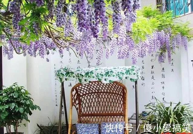 花园|3平米小阳台，也能变花园，有露台、阳台的千万别浪费！