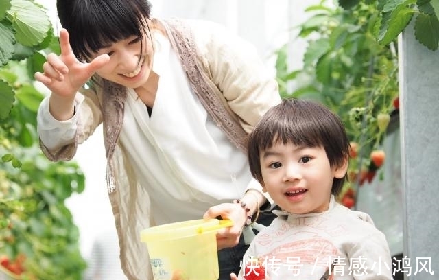 老公|“要不养着侄子吧,小孩子吃喝能花多少钱”,别闹,他六岁了