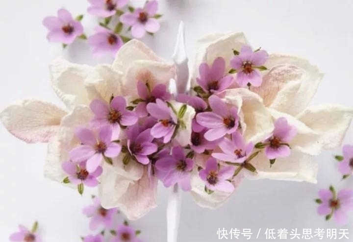 重样|每天折一只千纸鹤,他坚持了1000天不重样,女友被感动到梨花带雨