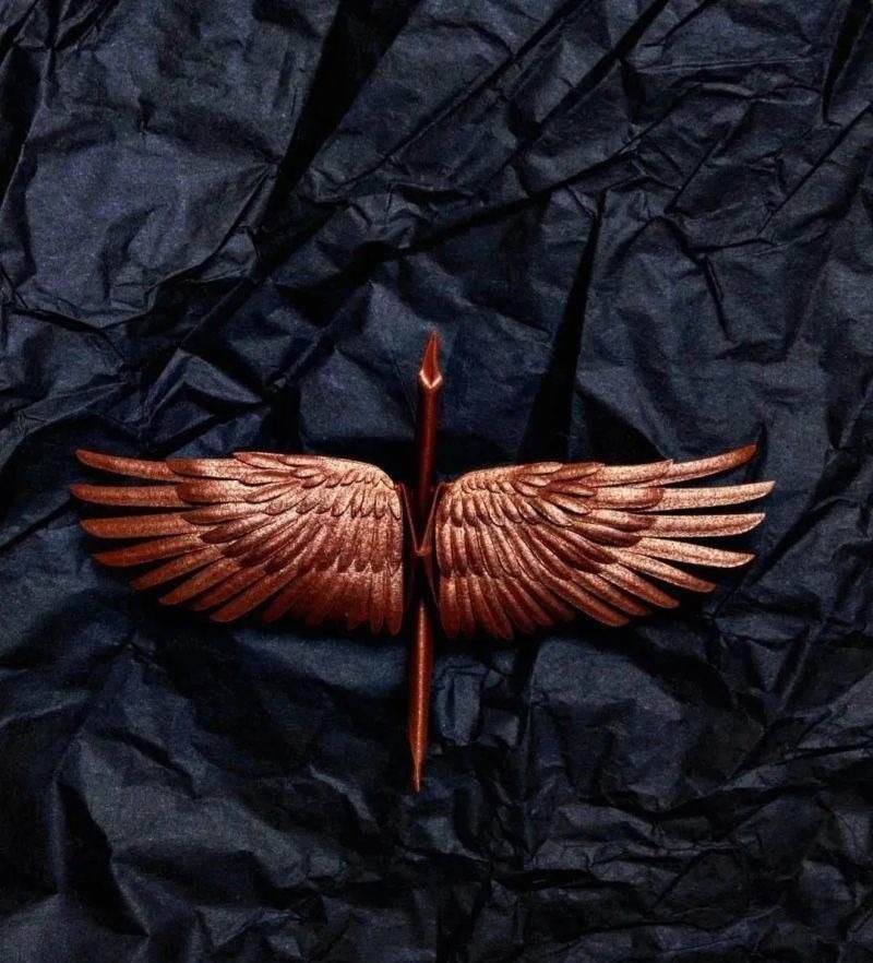 灵感$抑郁小哥把一只2毛钱的千纸鹤折成了我买不起的样子,不但病好了还年入百万