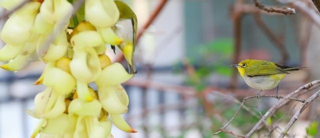 戈兵|一个有教养的人,总会在这四个方面做得很好