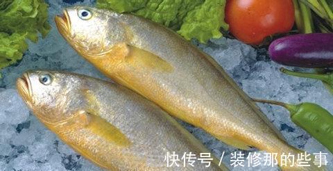 黄花鱼|这4种鱼吃的最放心,都是野生的,人工养殖不了,味道还鲜美