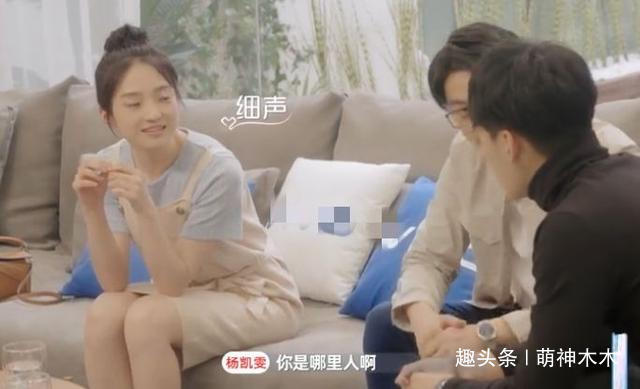 陳奕辰|陳坤表弟錄戀愛節(jié)目成萬人迷男女嘉賓通吃,連楊超越都小鹿亂撞