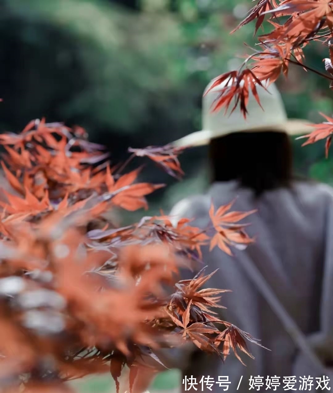 环线|宁波赏秋，金秋时节这三大秋色撩人的绝美景点，赶赴秋日之约