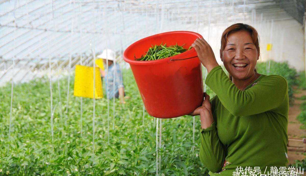 养花换土很麻烦,丢下这种“万能肥”,旧土立刻变新土