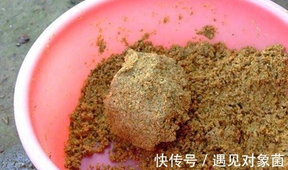 配方|告别一学就会一开就废,只要掌握这几点,小白开出的饵料也能连杆