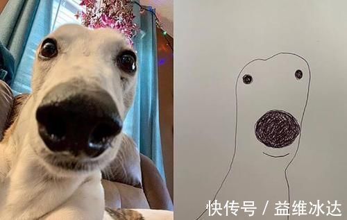 灵魂$“灵魂画手”笔下的宠物,抽象又搞笑的画风,完美抓住了“灵魂”