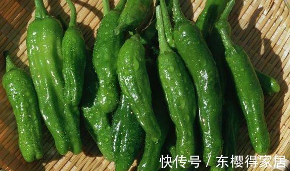 青辣椒|夏天吃一点辣椒,能降低血脂,抗菌消炎,治传染性肝炎