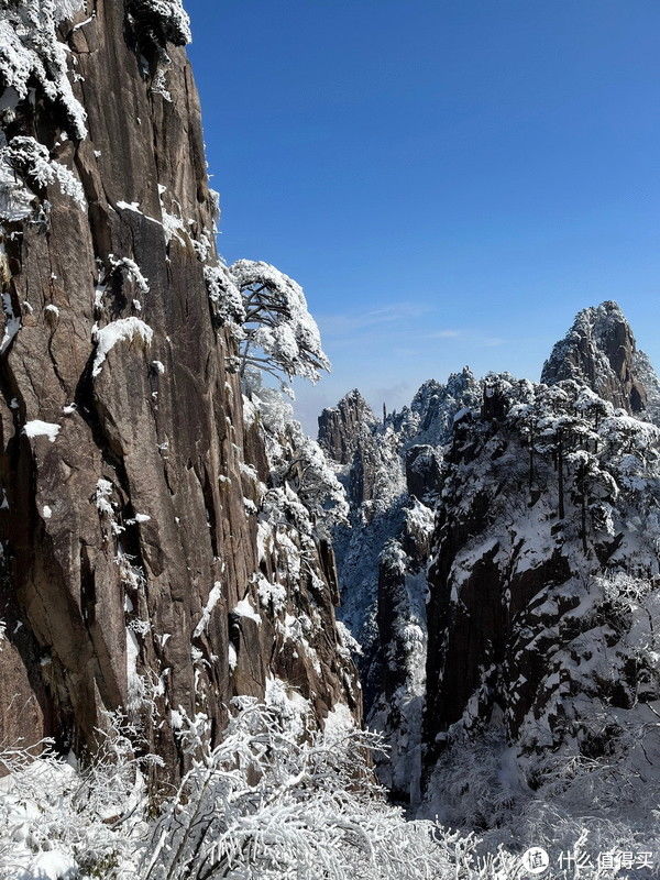 核酸|三登黄山终遇雪，千岛湖黄山自驾游