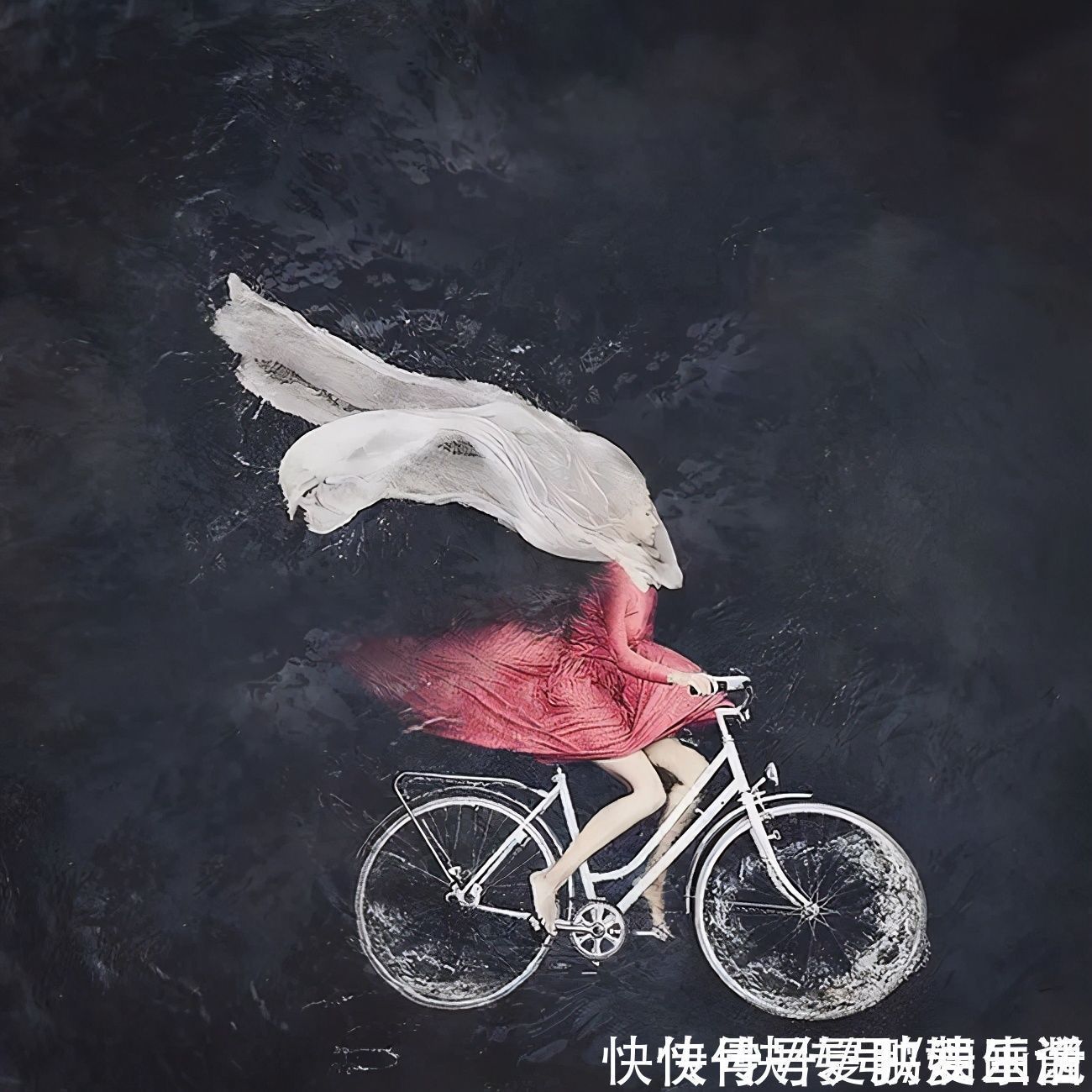 骑自行车|这画面真是绝了,女孩横躺在水里骑自行车,让人看上一眼就忘不了
