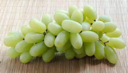 感染性疾病|秋季不补会后悔，抓住时机滋补常吃三种食物，口感丰富营养足