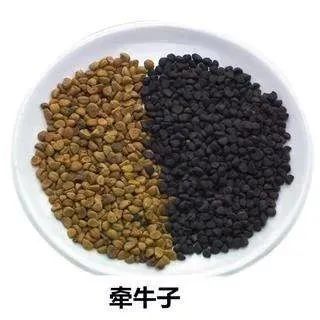 肿块|一个专治疑难杂症的千古名方，行气活血，消全身肿块，甚是巧妙！