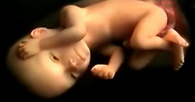 营养物质|孕妈妈吃饭时,胎宝宝在干什么呢这组图揭秘原来小吃货一个