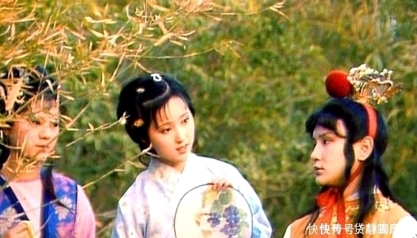 小家碧玉|你若是贾宝玉,你会娶薛宝钗还是林黛玉?