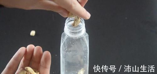 花生壳和橘子皮放在一起，这个用途太实用了，看完尽快提醒家里人