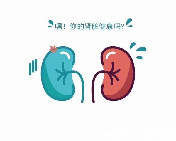 蔬果|肾为何越来越衰竭?医生提醒:要想肾好,劝你及时改掉这个3件事