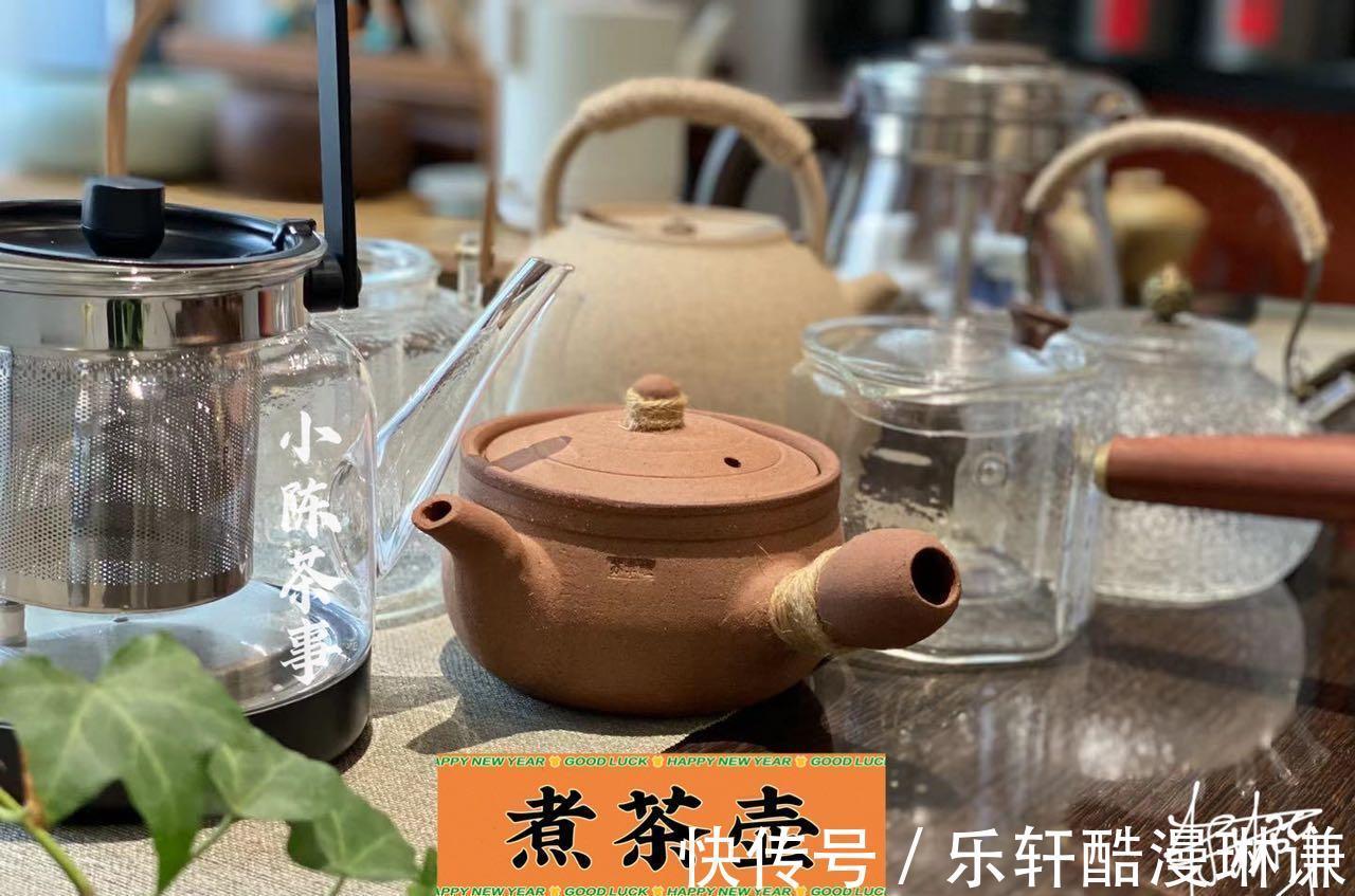 玻璃壶|养生壶、玻璃壶、铁壶、粗陶壶，谁才是秋季煮老白茶的选择