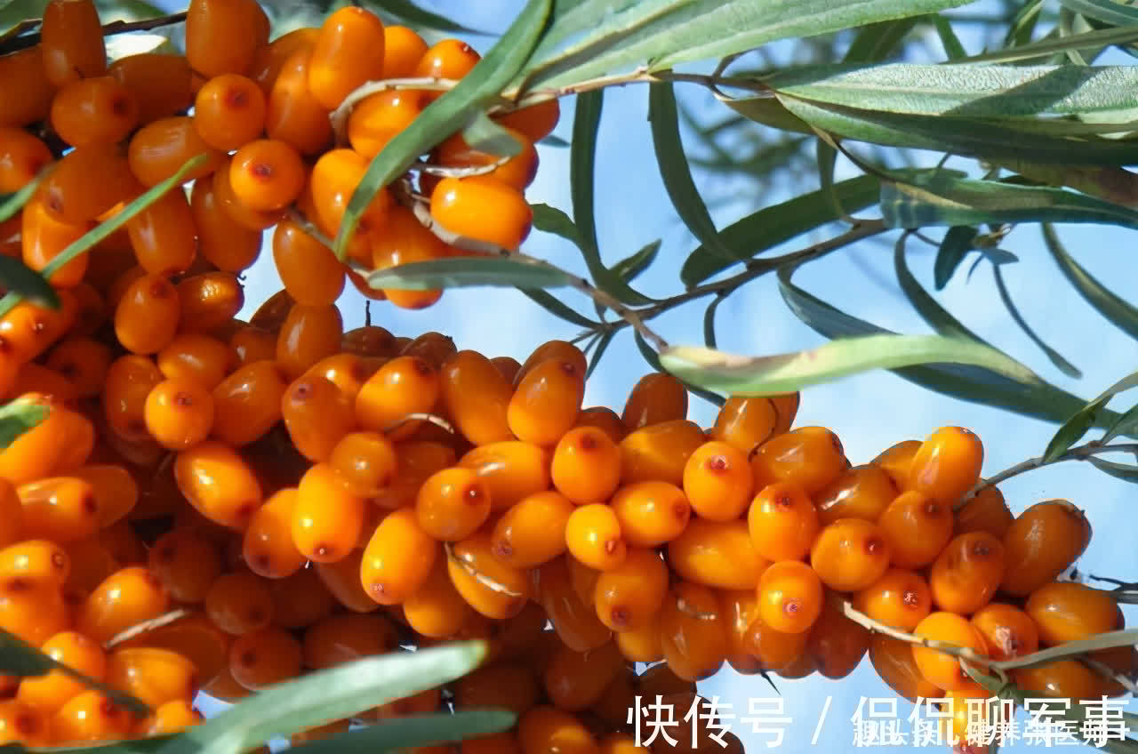 衰老|对身体很好的3种食物,补充营养,延缓衰老,有益健康