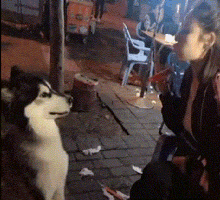 |搞笑GIF:你永远猜不到 美女的那些照片是怎么拍出来的