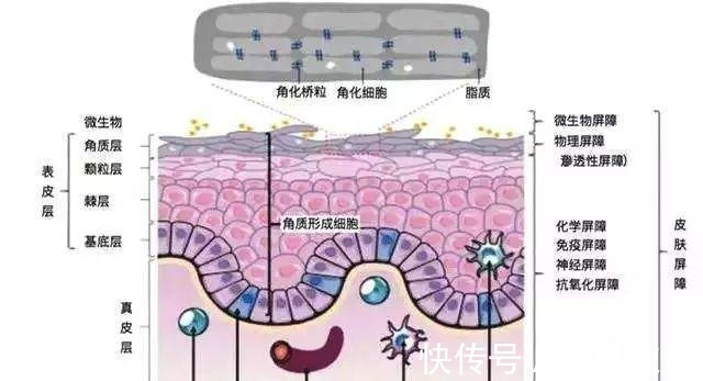 学生党 值得推荐的8款平价护肤品，适合学生党的护肤品！