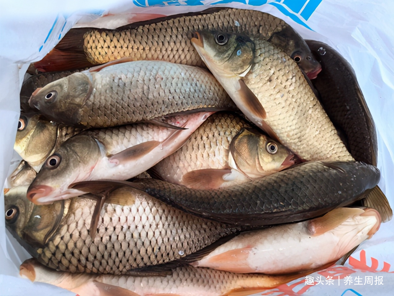 蔬菜|肝脏最喜欢的5种蔬菜,堪比“补品”,便宜又营养,比吃药管用