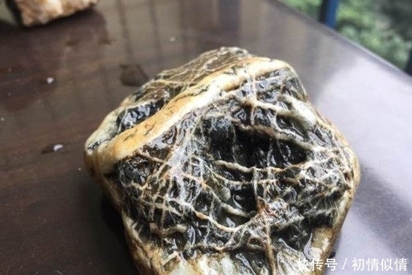 丢掉|小伙野外捡到一块石头,村民说不干净要丢掉,鉴定后结果喜人
