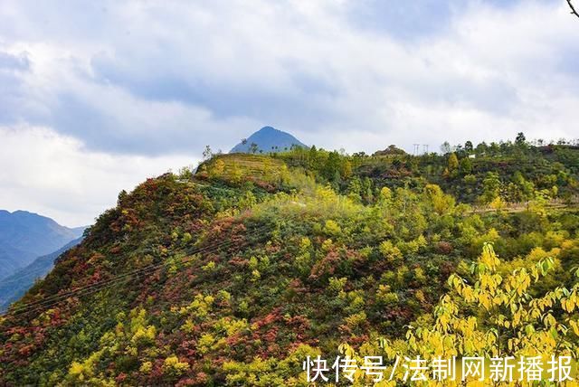 万山红遍|汉中略阳的秋天