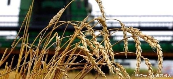 值钱|如果爆发战争，什么东西最值钱？专家道出真相，你别不相信