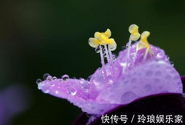 孩子|哪个时间出生的孩子都是“文曲之星”孝顺懂事,一生没有灾难!