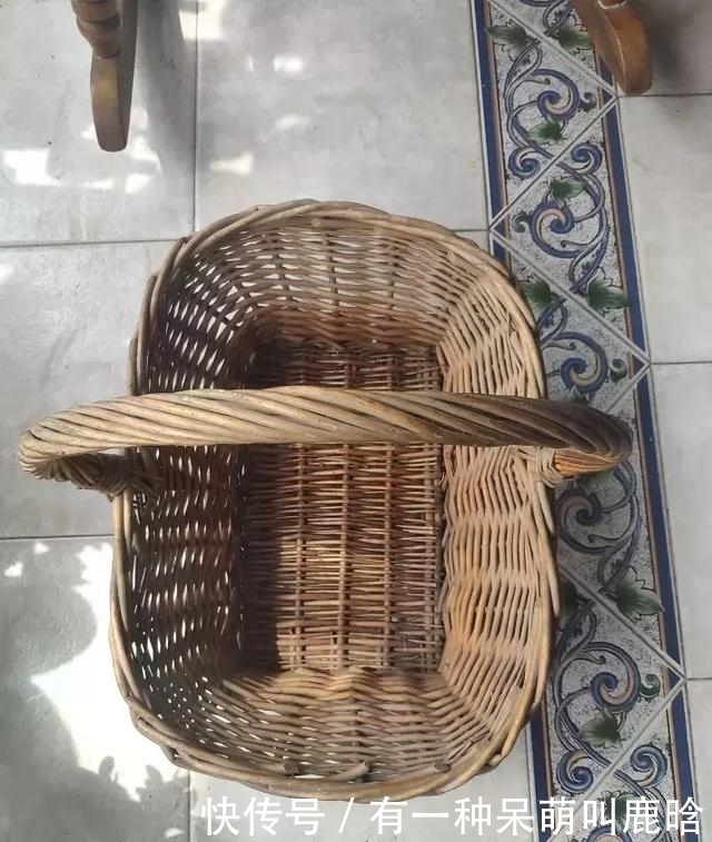 邻居捡破烂养花,全家都反对,栽上花后都笑了!